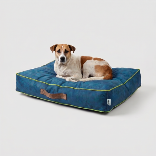 Cama Sofo Azul Pistacho