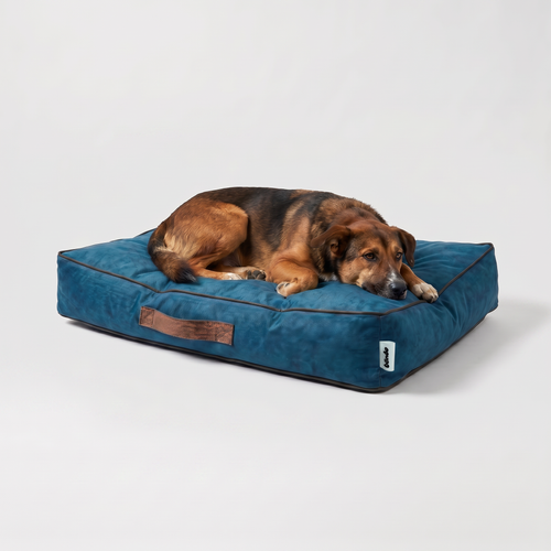 Cama Sofo Azul Chocolate