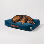 Cama Sofo Azul Chocolate