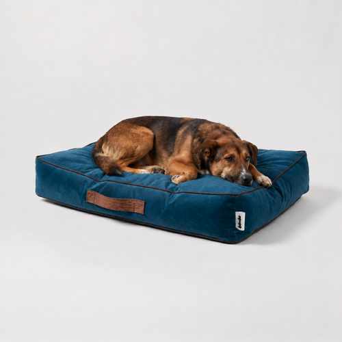 Cama Sofo Azul Chocolate