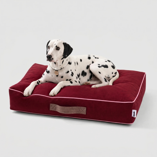 Cama Sofo Burdeo Rosa
