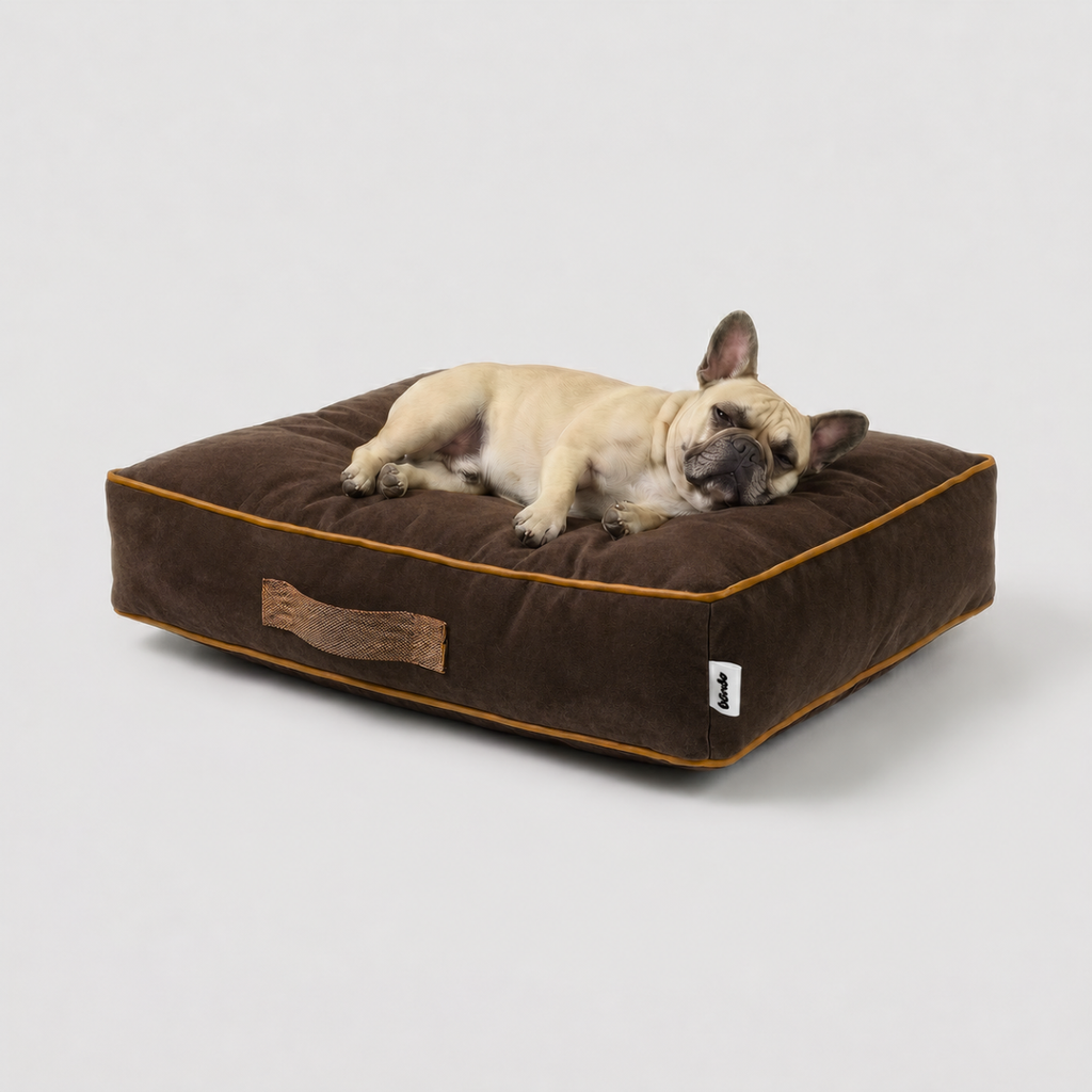 Cama Sofo Chocolate Miel
