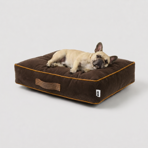 Cama Sofo Chocolate Miel