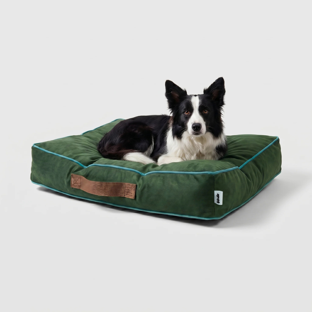Cama Sofo Verde Menta